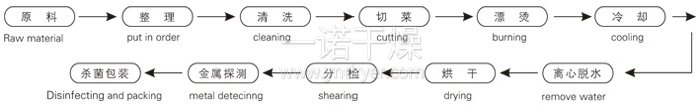 脱水蔬菜带式干燥工艺流程